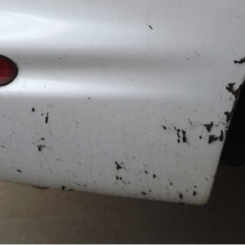 Difetto vernice auto da catrame