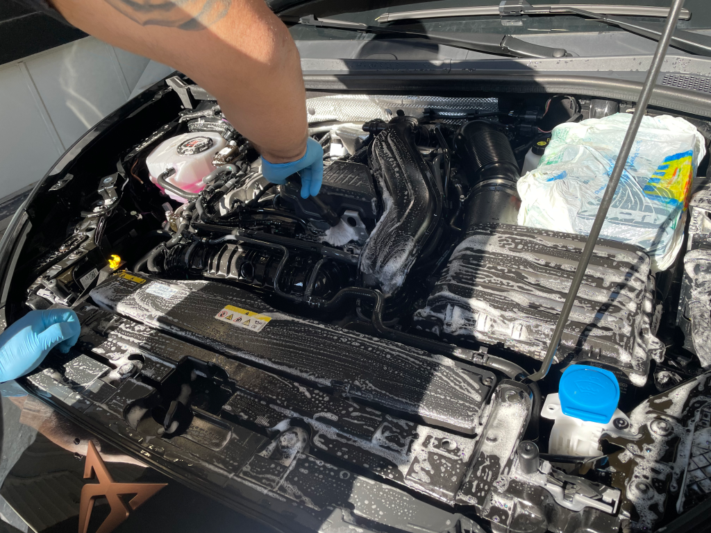 Lavaggio motore auto
